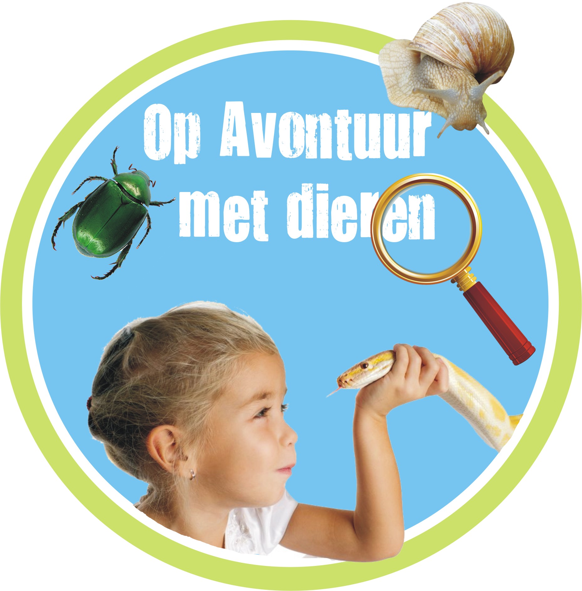 Afbeeldingen / reptielen